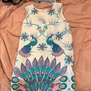 Cute shift dress. Lovely colors